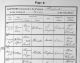 ID 217 Ellen Hobbs Baptism Record